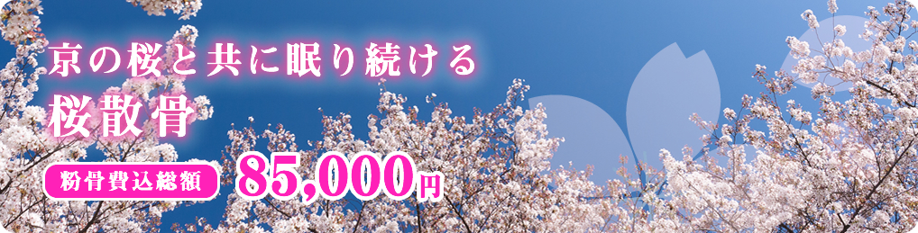 京の桜と共に眠り続ける自然葬 桜散骨 粉骨費込総額85,000円