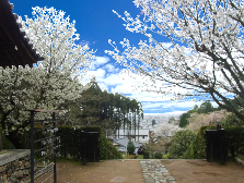 西寿寺風景